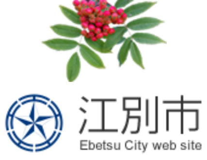 江別市都市景観賞　建造物部門に対雁小体育館